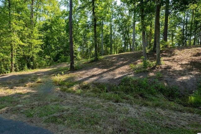 Listing photo 2 for TBD Francis Marion Dr, Georgetown SC 29440