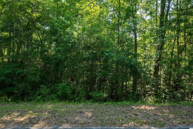 TBD Francis Marion Dr, Georgetown SC, 29440 land for sale