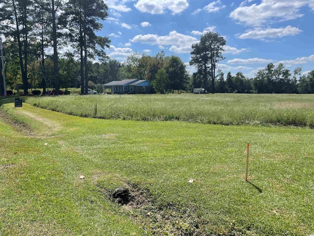 Listing photo 3 for TBD Suggs St, Loris SC 29569