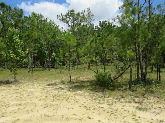 Listing photo 3 for TBD Eva Rd, Little River SC 29566