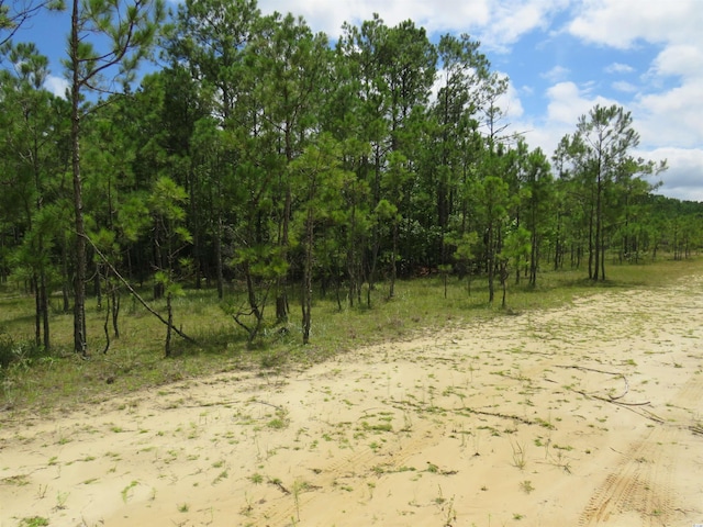 Listing photo 2 for TBD Eva Rd, Little River SC 29566