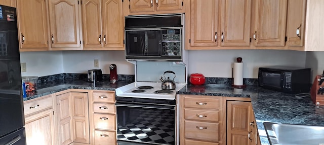 kitchen with light brown cabinetry and black appliances