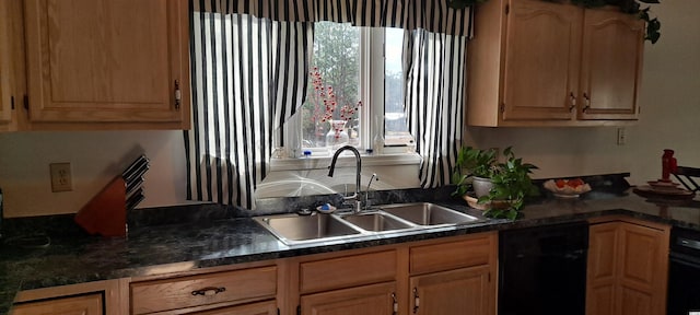 kitchen featuring black dishwasher and sink