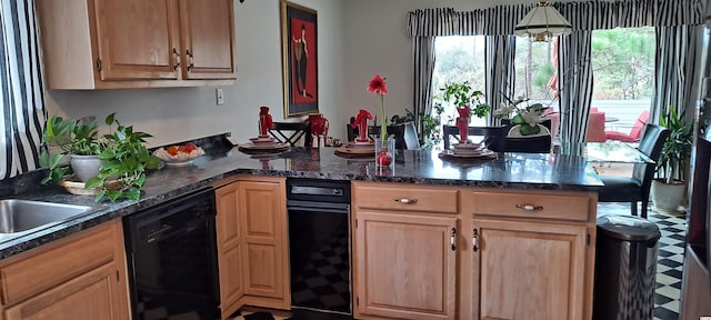 kitchen with black dishwasher