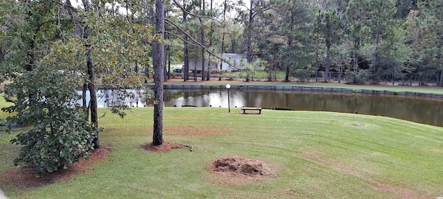 view of yard with a water view