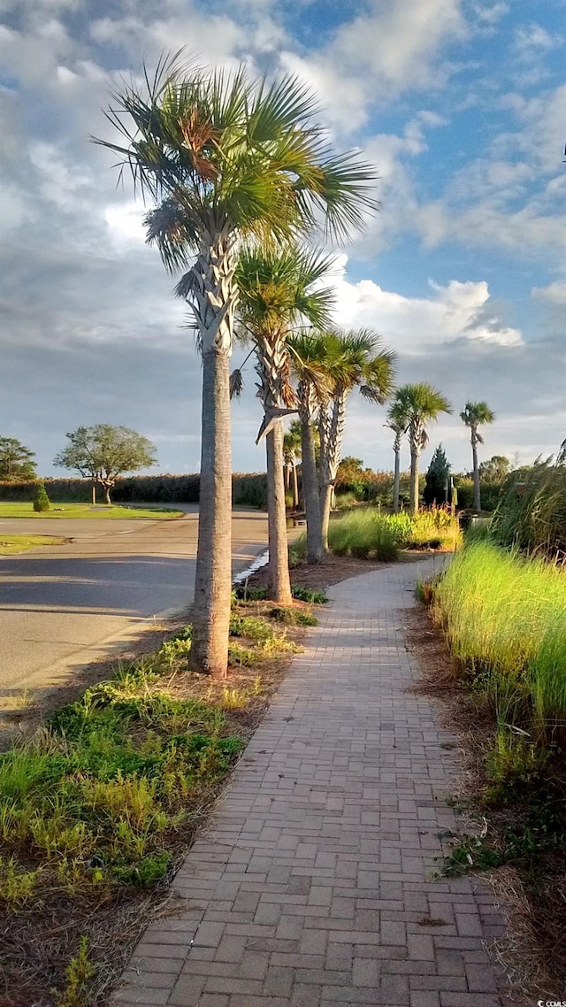 view of surrounding community