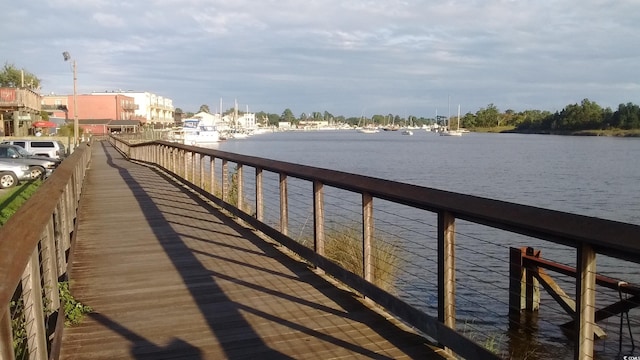 dock area with a water view