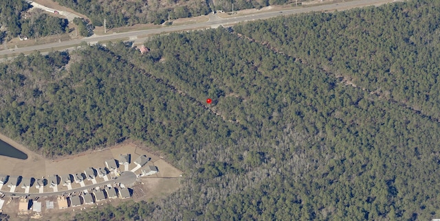 Listing photo 3 for Denny Dr, Pawleys Island SC 29585