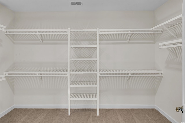 1228 Colusa Ct, Little River, SC 29566 - walk in closet featuring carpet floors