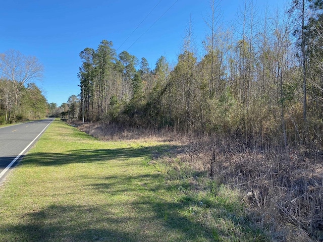 TBD Wright Rd, Loris, SC 29569 - photo 1
