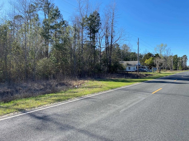 TBD Wright Rd, Loris, SC 29569 - photo 3