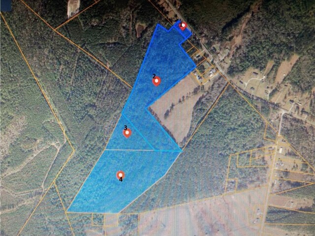 TBD Wright Rd, Loris, SC 29569 - photo 5