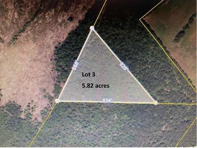 TBD Wright Rd, Loris, SC 29569 - photo 8