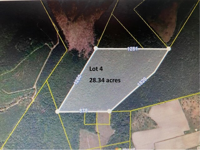 TBD Wright Rd, Loris, SC 29569 - photo 9