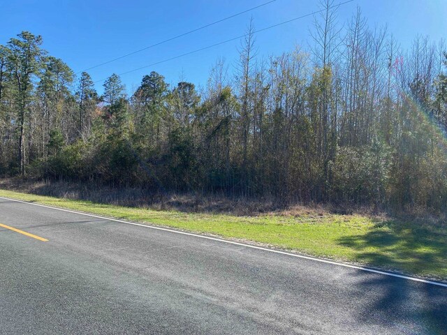 TBD Wright Rd, Loris, SC 29569 - photo 16