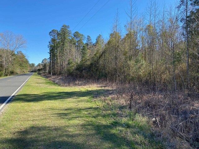 TBD Wright Rd, Loris, SC 29569 - photo 15
