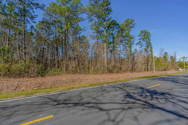 TBD Wright Rd, Loris, SC 29569 - photo 13