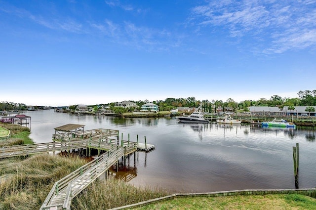 dock area with a water view