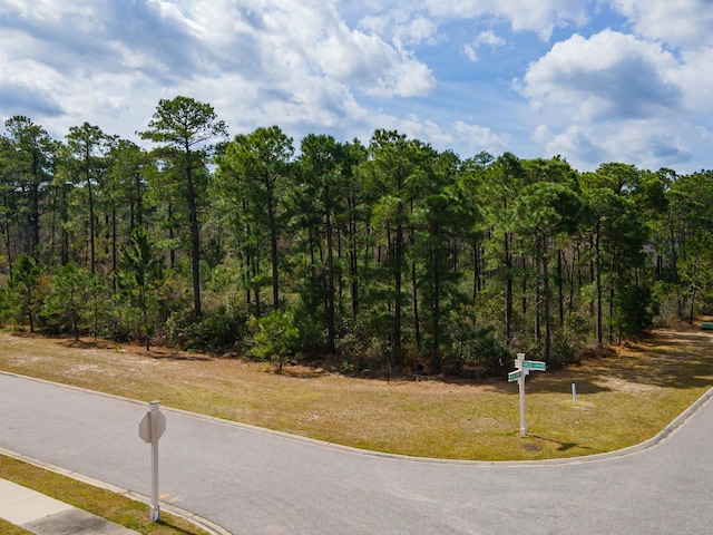 1259 Ficus Dr, Myrtle Beach SC, 29579 land for sale