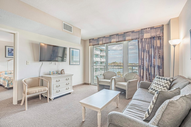 carpeted living room with a water view and a textured ceiling