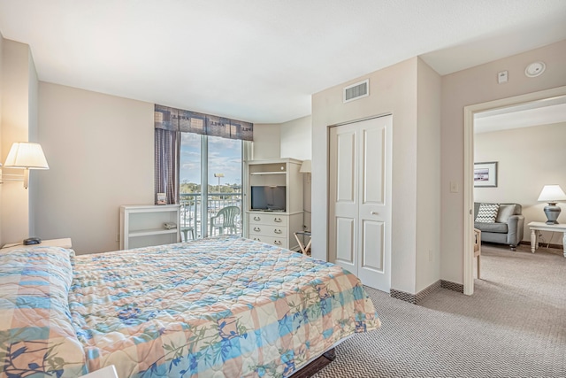 carpeted bedroom featuring a closet and access to outside