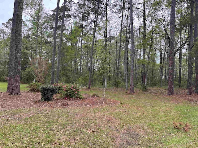 LOT5 S Persimmon Ford Rd, Johnsonville, SC 29555 - photo 1