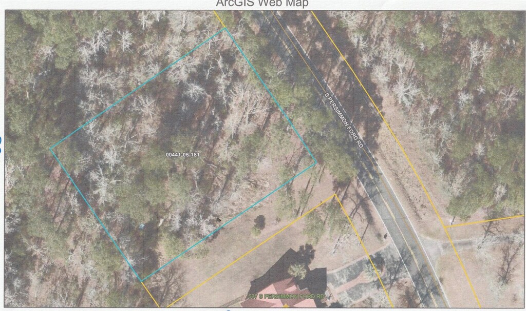 LOT5 S Persimmon Ford Rd, Johnsonville, SC 29555 - photo 2
