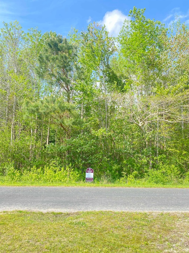 TBD Highway 762, Loris SC, 29569 land for sale