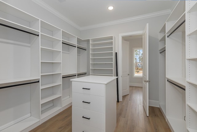 walk in closet with light hardwood / wood-style floors