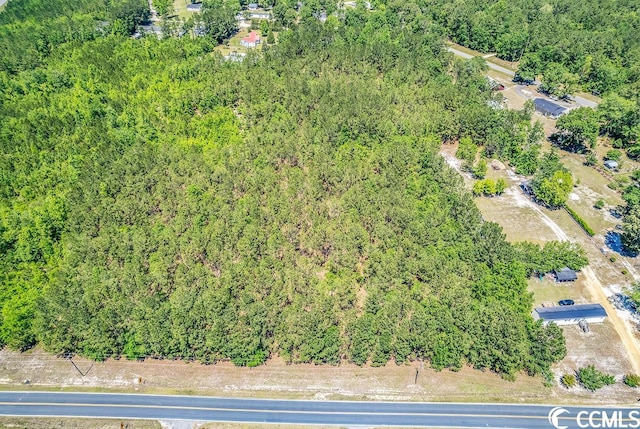 TBD William Nobles Rd, Aynor, SC 29511 - photo 3