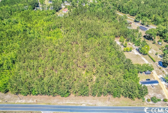 TBD William Nobles Rd, Aynor, SC 29511 - photo 4