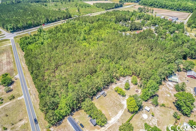 TBD William Nobles Rd, Aynor, SC 29511 - photo 5