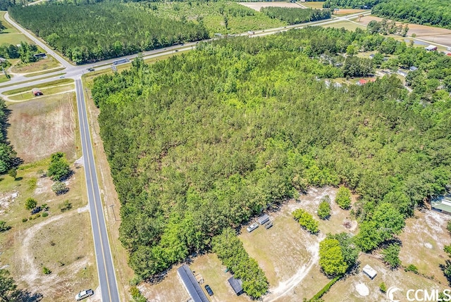 TBD William Nobles Rd, Aynor, SC 29511 - photo 6