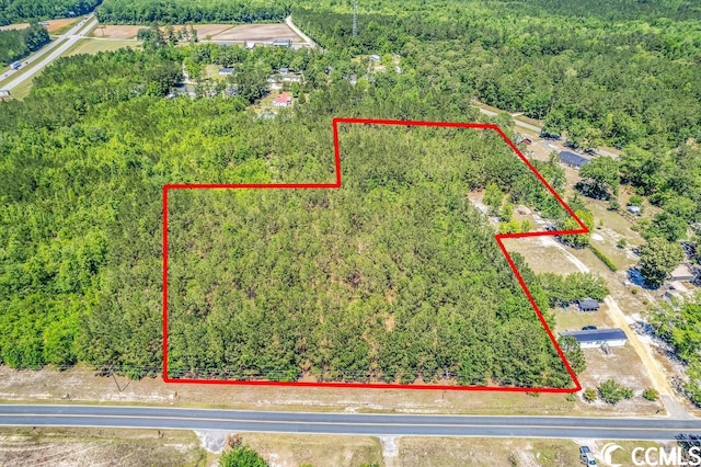 TBD William Nobles Rd, Aynor, SC 29511 - photo 7