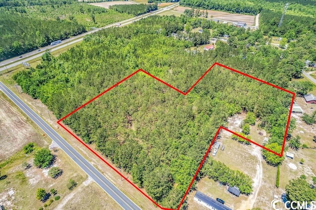 TBD William Nobles Rd, Aynor, SC 29511 - photo 8