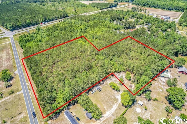 TBD William Nobles Rd, Aynor, SC 29511 - photo 9