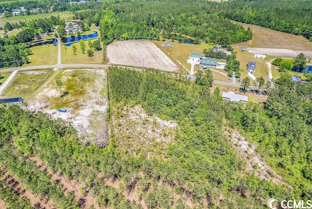 TBD Highway 548, Conway SC, 29527 land for sale