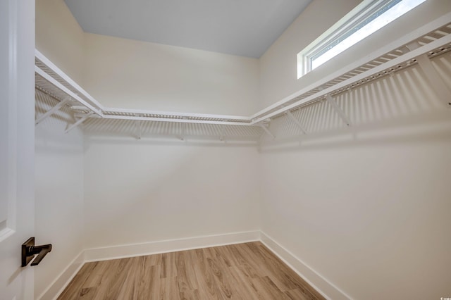209 Brush Ct, Little River, SC 29566 - photo 19