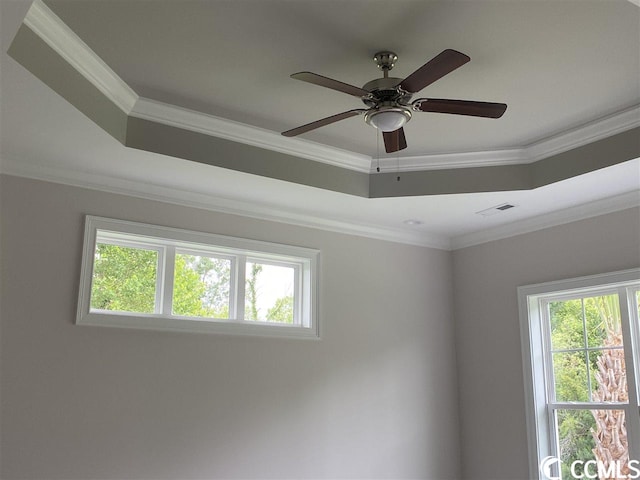 details with ceiling fan, ornamental molding, and a raised ceiling