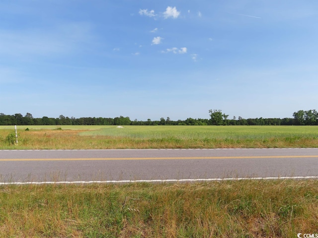 TBD Pee Dee Rd N, Galivants Ferry SC, 29544 land for sale