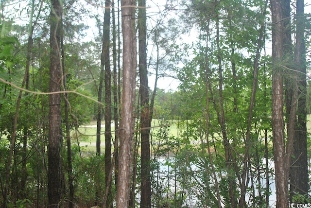 Listing photo 2 for 2012 Spring Valley Ct, Loris SC 29569