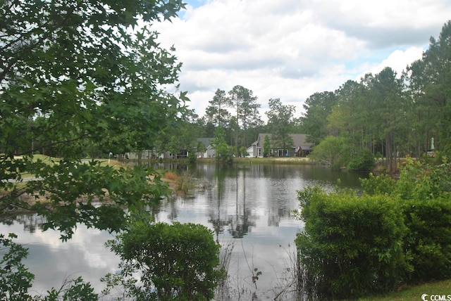 2012 Spring Valley Ct, Loris SC, 29569 land for sale