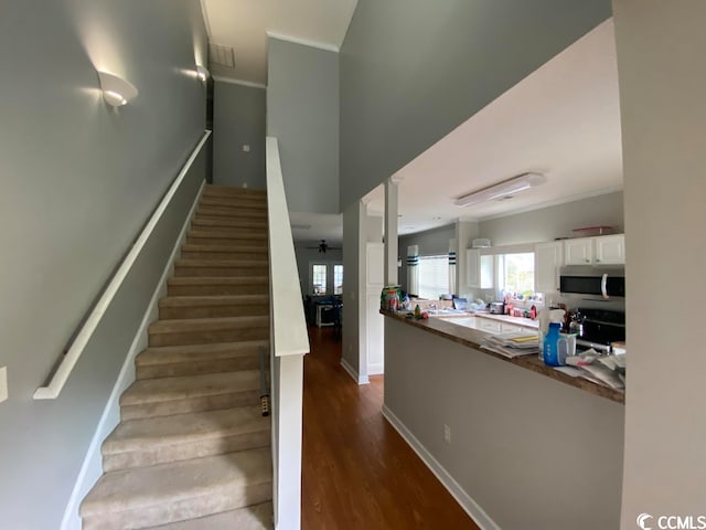 staircase featuring dark wood-type flooring