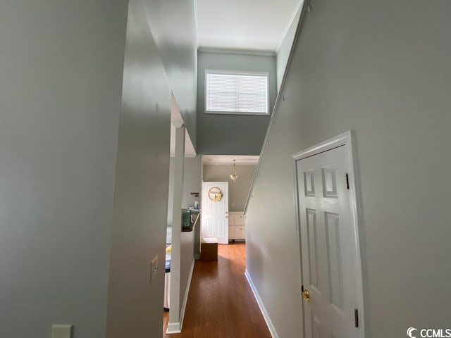 hallway with dark wood-type flooring and a high ceiling