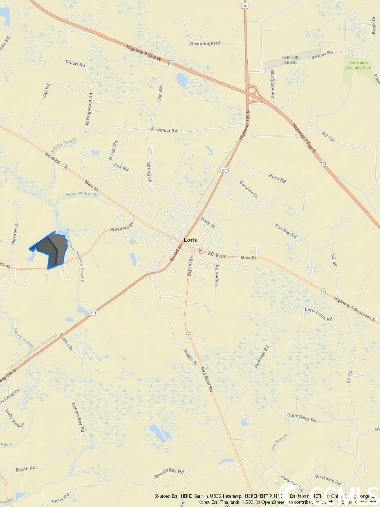 T.B.D. Highway 45, Loris, SC 29569 - photo 1