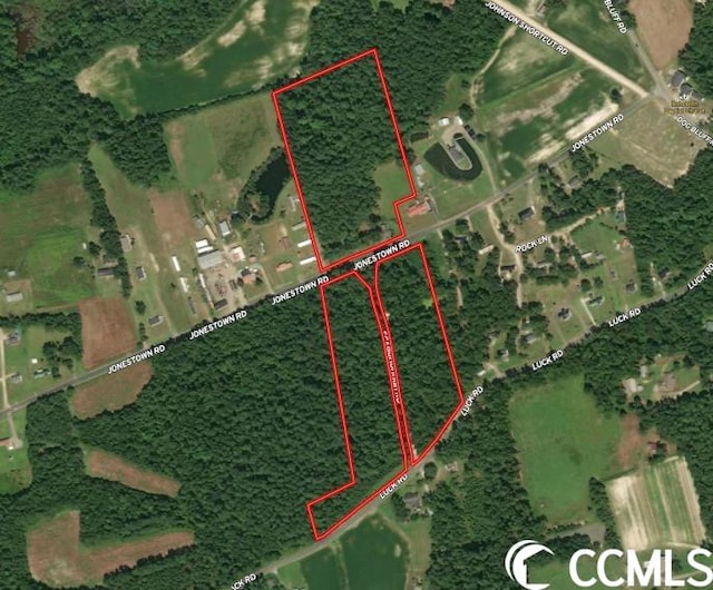 1620 Jonestown Rd, Galivants Ferry SC, 29544 land for sale