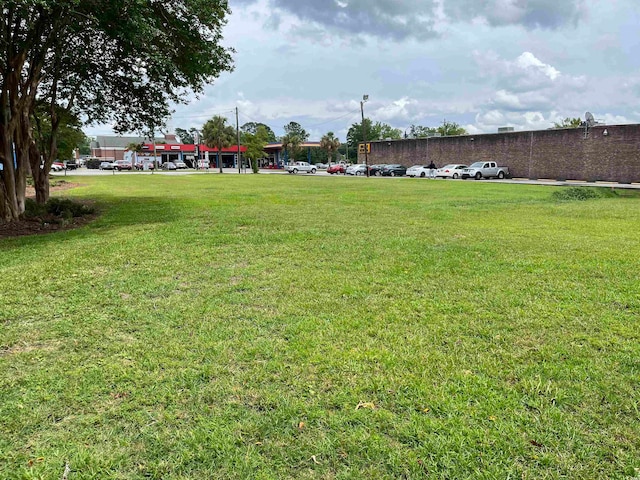 TBD N Main St, Hemingway SC, 29554 land for sale