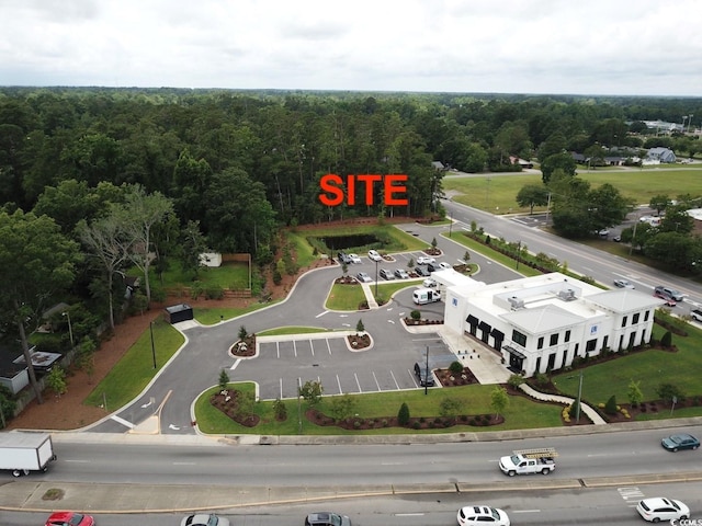 TBD 16th Ave, Conway, SC 29526 - photo 4