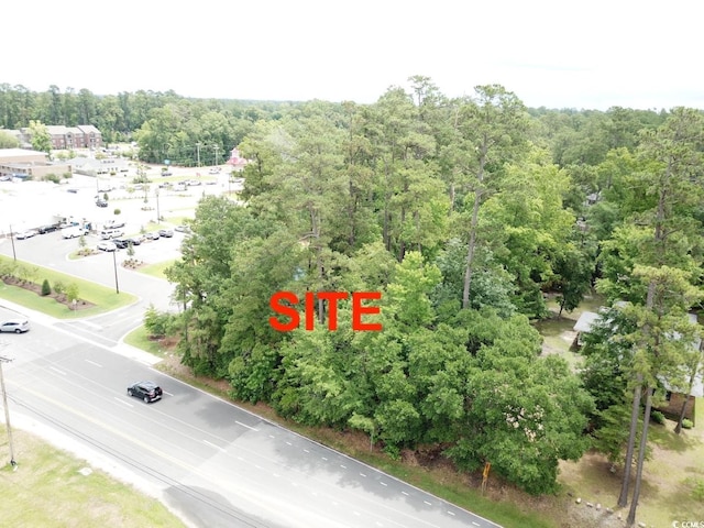 TBD 16th Ave, Conway, SC 29526 - photo 9