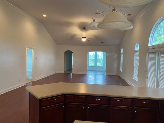 kitchen featuring ceiling fan, dark hardwood / wood-style flooring, and high vaulted ceiling